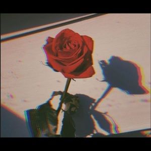 Meet your Posher, Cari